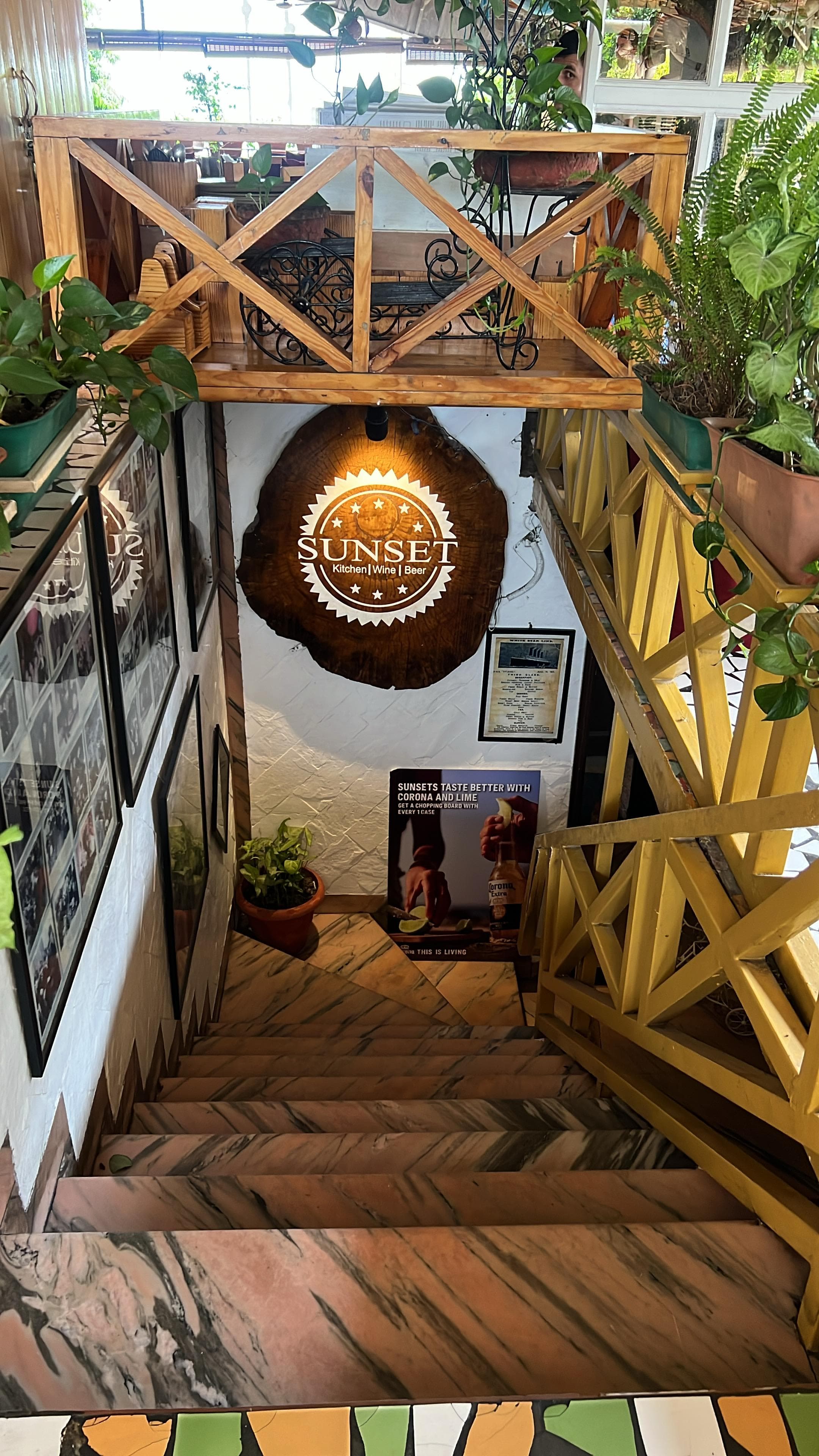 Gourmet dining at Bistro Cafe Dehradun